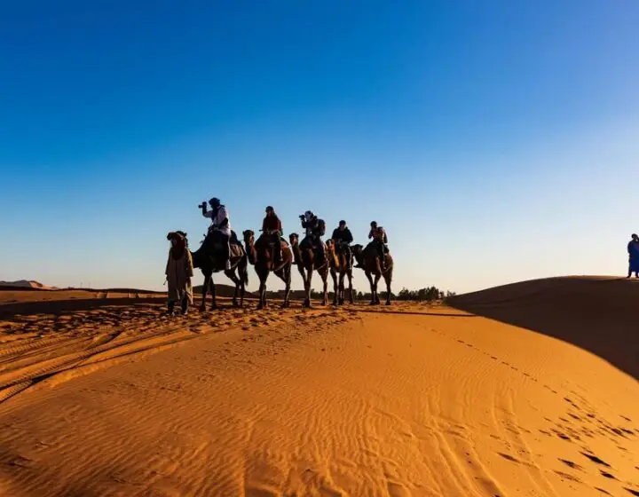 Camel caravan crossing the golden dunes of the Sahara Desert at sunset in Merzouga, Morocco.